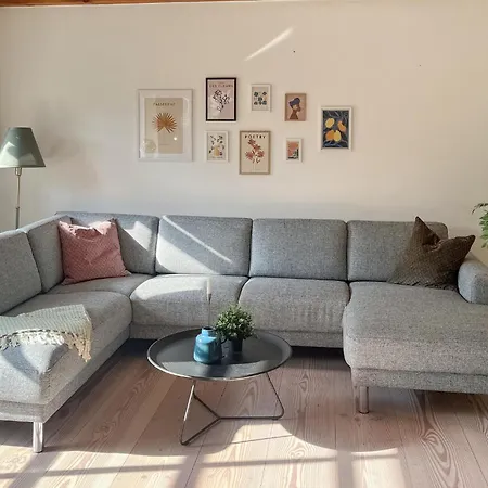 Amazing In With Sauna Semesterbostad Silkeborg