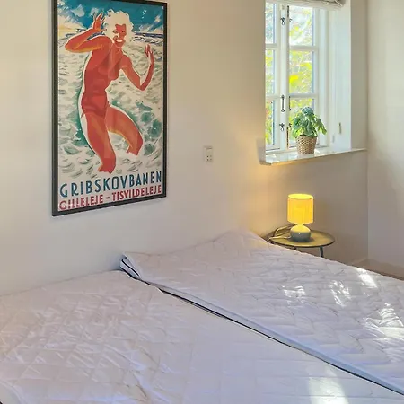 Semesterbostad Amazing In With Sauna Silkeborg