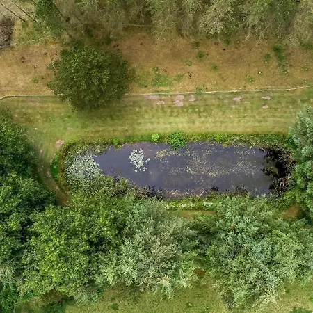 Amazing In With Sauna *